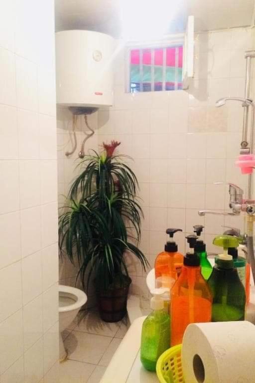 Lika'S Hause Apartment Тбилиси Екстериор снимка
